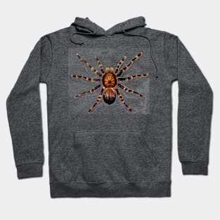 spider Hoodie